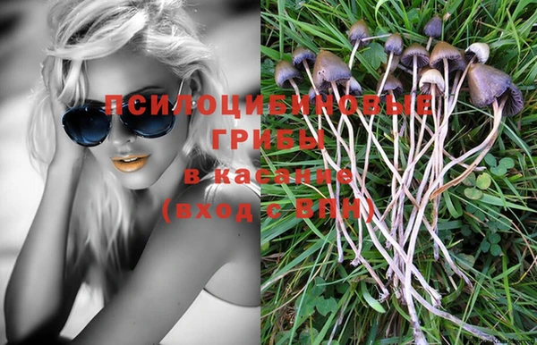 метадон Алексеевка