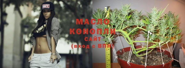 МДПВ Алексин