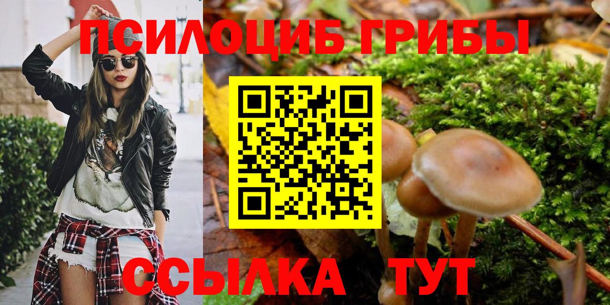 Галлюциногенные грибы прущие грибы  Вход с VPN  Заводоуковск 